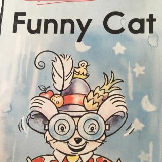 funny cat yahoo