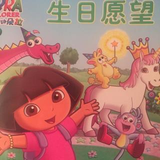 朵拉生日愿望92