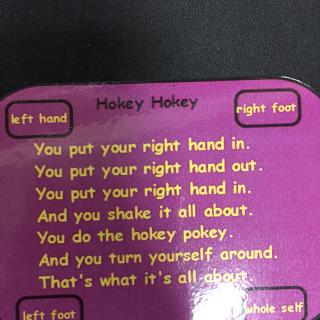 hokey pokey音频