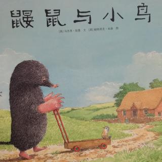 鼹鼠与小鸟