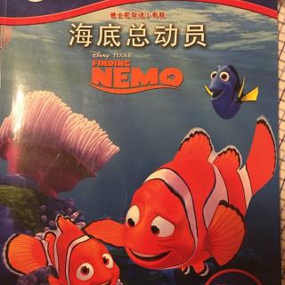 finding nemo《海底总动员》