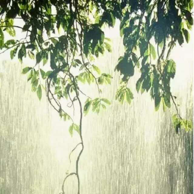 城市在下雨,而我在想你