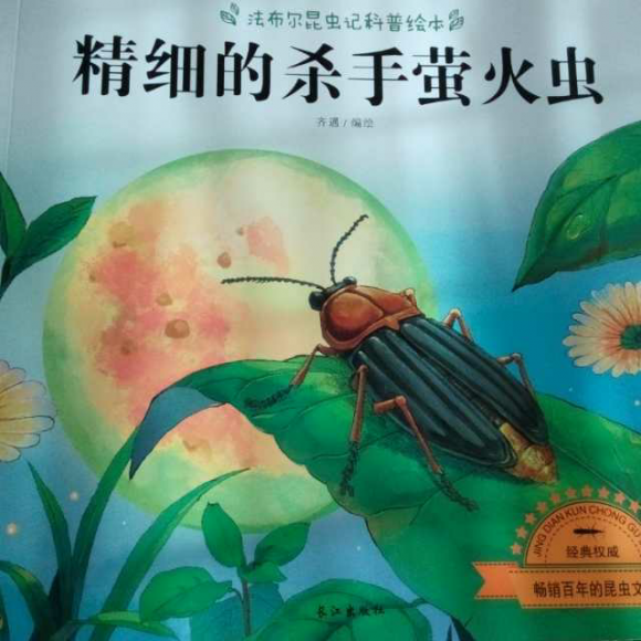 精细的杀手萤火虫(法布尔昆虫记科普绘本)