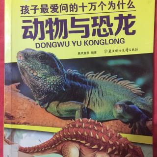 动物与恐龙:角鼻龙,禽龙和戟龙