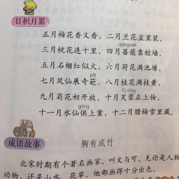 语文园地二 日积月累 成语故事-胸有成竹