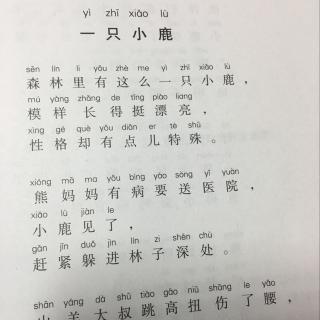 在森林中曲谱_森林图片卡通(3)