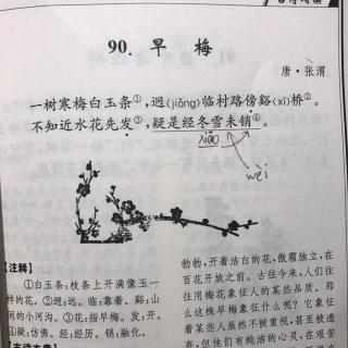 古文晨读90早梅唐张渭