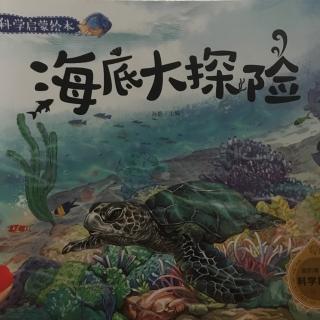 海底大探险(我的第一套科学启蒙绘本)