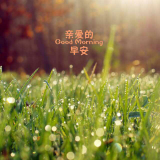 随风的心情说给你听，