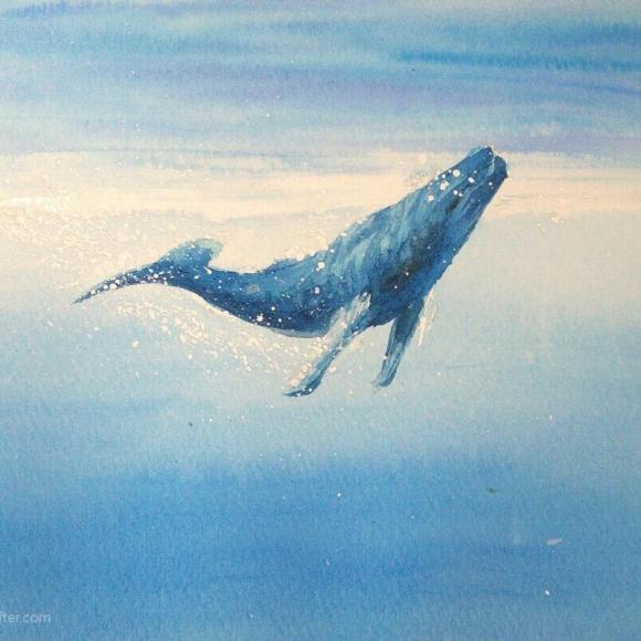 【睡前治愈】海里有一条最寂寞的鲸鱼,叫alice