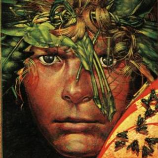 【不朽的经典2016113】Lord of the flies 蝇王(1)