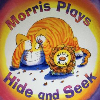 《morris plays hide and seek》