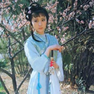 【红楼梦.葬花吟】