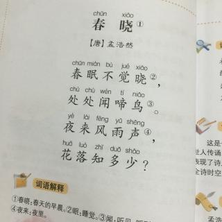 春晓唐诗_唐诗 春晓_唐诗春晓的教案怎么写