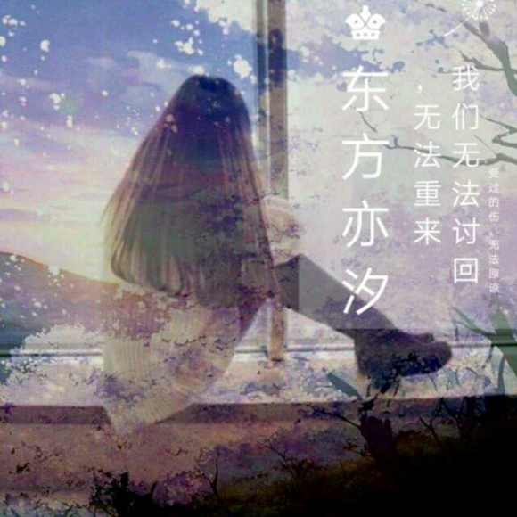 【33】我们无法讨回,无法重来,受过的伤,无法原谅.