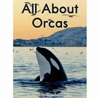 【RAZ Level E - All About Orcas】在线收听