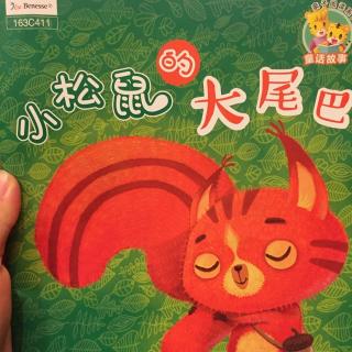 小松鼠的大尾巴