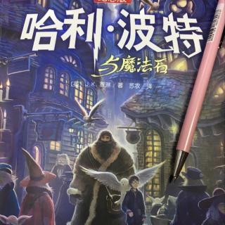 哈利波特国语版在线图片