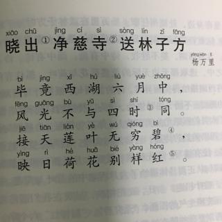 晓出净慈寺送林子方(杨万里)