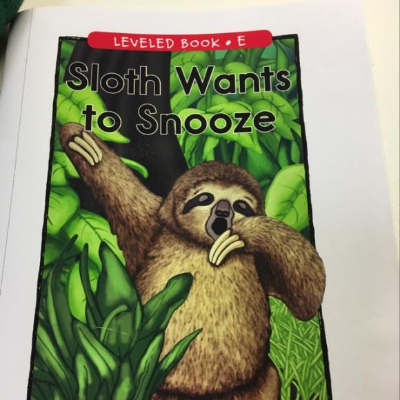 2016/12/4. sloth wants to snooze