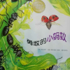 【园长妈妈讲故事20】勇敢的小蚂蚁 欢迎收听