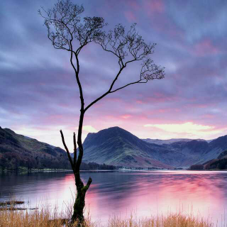 【在薄情世界里,深情地活着。】在线收听_小神