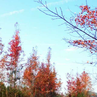 这条路上我们一起走简谱_这条路上我们一起走(2)