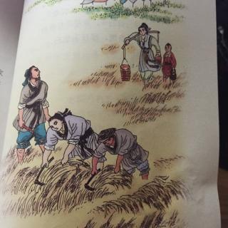 关于《观刈麦》《观刈麦》中前半部分写丰收的景象、农民的勤劳队表现主旨有什么作用?
