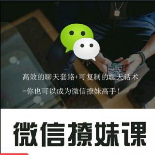 【微信追女孩泡妞撩妹聊天实战秘籍】在线收听