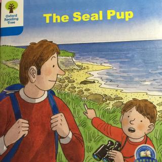 牛津树dd4-6 the seal pup