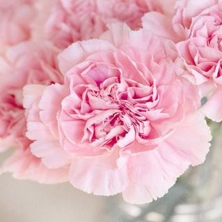 第391期:携书如历三千世,无书唯度一平生。