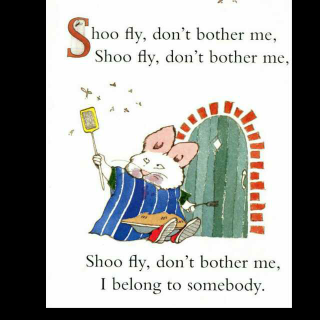 【鹅妈妈水机(信谊版)04shoofly,don