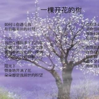 【席慕容:一棵开花的树】在线收听_馨尹_荔枝FM