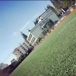 【干物女 艾辰】在线收听_Cathy_荔枝FM