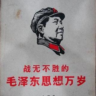 【孔庆东老师讲座:毛泽东思想为什么能够战无