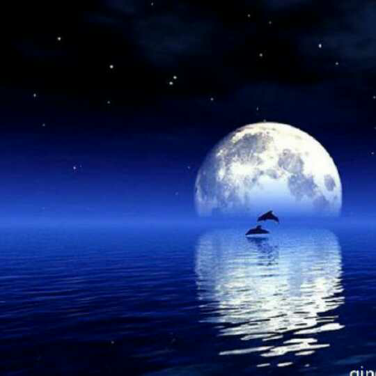 《海月夜》散文