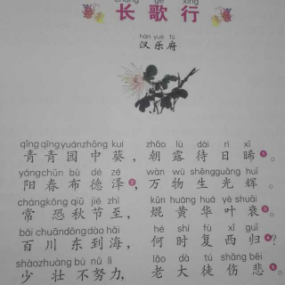 【长歌行_汉乐府】在线收听_颢颢_荔枝FM