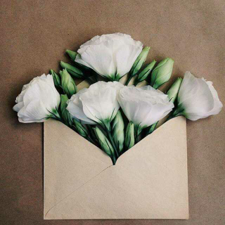 【没有一种工作是不想辞职的(文\/孙晴悦)】在线