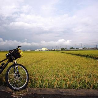 【歌词:我要你 原唱:老狼 任素汐】在线收听_缺