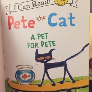 pete the cat: a pet for pete