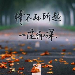 情不知所起,一往而情深