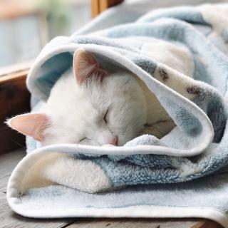 不是不爱你 只是不能在一起