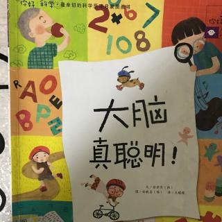 大脑真聪明!