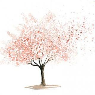 一棵开花的树——席慕蓉