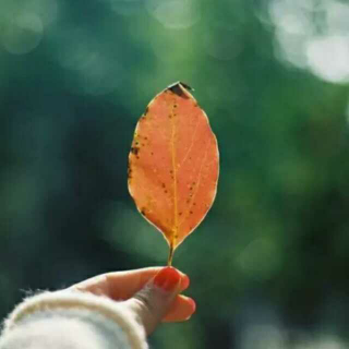 【去见你想见的人吧,趁阳光正好】在线收听_电