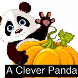 【a clever panda】在线收听_新路国际英语_荔