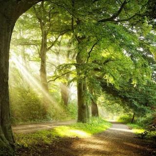 【【绿野仙踪】_陈悦 一起沉醉】在线收听_莺