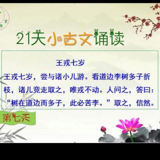 【王戎七岁】在线收听_幸福宝贝榕_荔枝FM