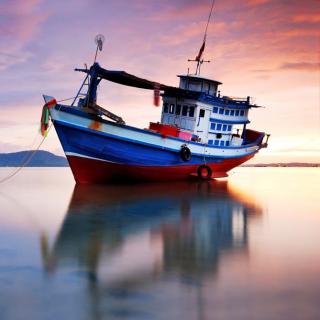 【《哦,船长我的船长》沃尔特·惠特曼】在线收听_穿裤子的云_荔枝FM