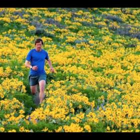 睡莲丁立梅贾鹏芳二胡